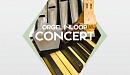 Gratis inloopconcert Trienke Hartog Sebastianuskerk Noordwolde