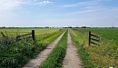Walfridusvoettocht - wandelen rondom Bedum