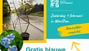 gratis blauwe bessenstruiken het hogeland