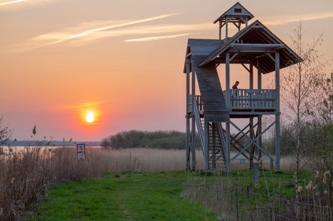 het groninger landschap activiteiten provincie groningen Leinwijk Ard Bodewes VX2A8604