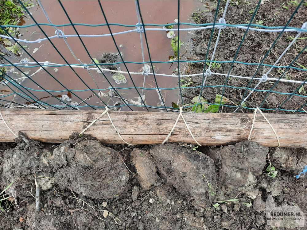 Hekversterking - Werken Met Zorg - De makkelijke Moestuin - verkoop producten