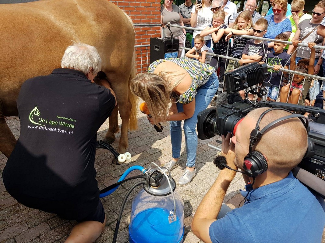 Zaterdag 18 juni Open Dag en 20 jarig bestaan Paardenmelkerij de Lage Wierde