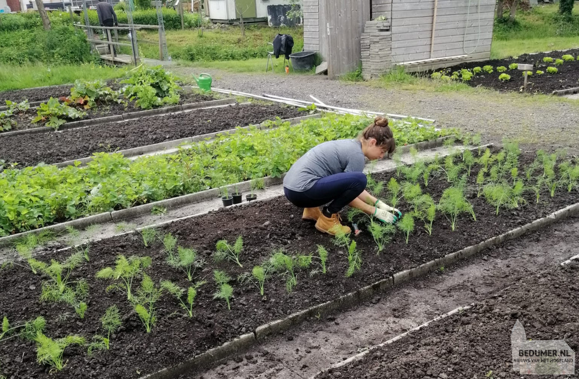 Planten in de kleine tuin - Werken Met Zorg - De makkelijke Moestuin