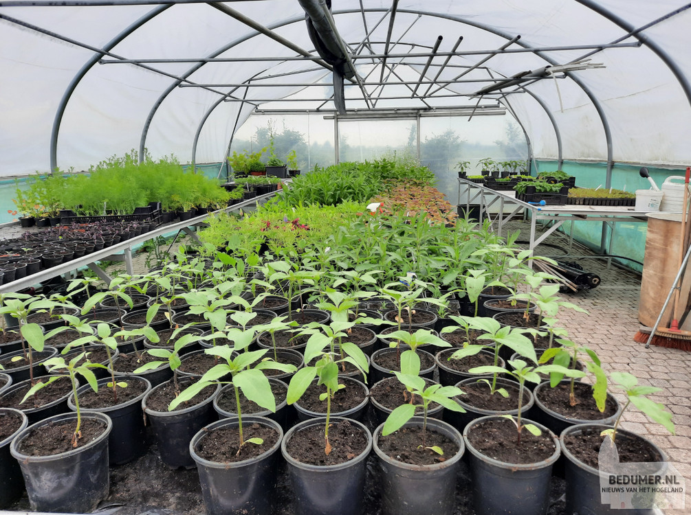Teelt in de kas -Werken Met Zorg - De makkelijke Moestuin