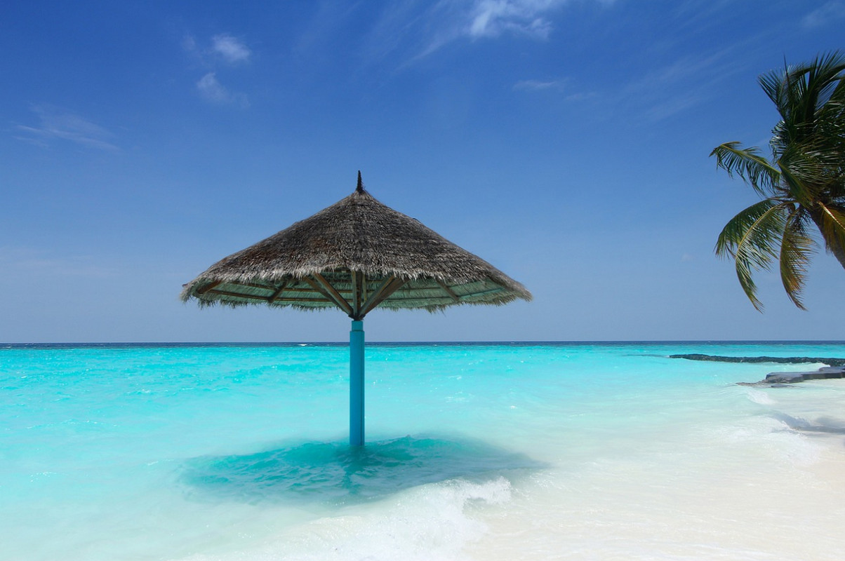 Elegantie in de Schaduw - Borek Parasols en The Grand Interior