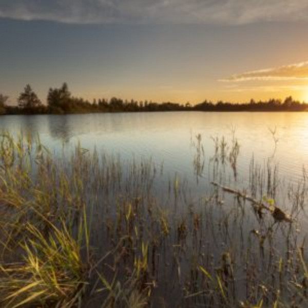 Het Groninger Landschap De natuur ontwaakt varen in de vroeg ochtend