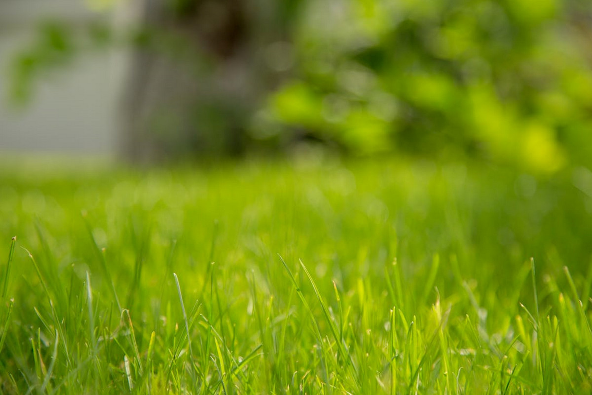 Worden er veel graszoden gelegd in de omgeving Bedum