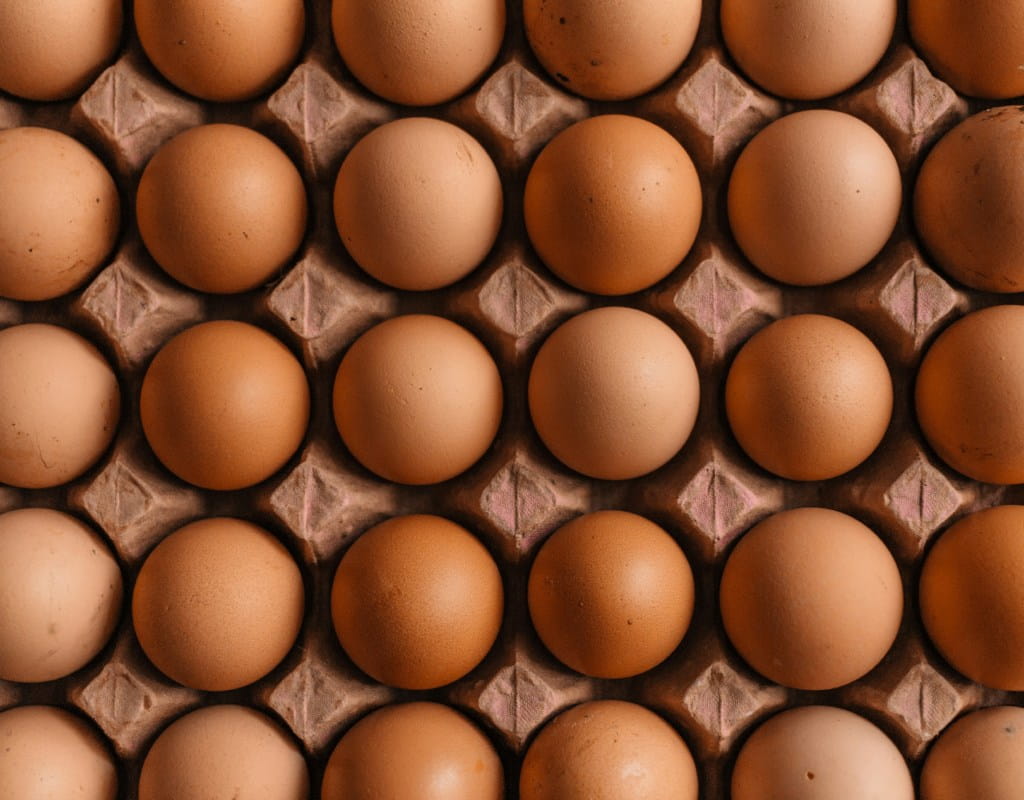 Krachtige proteïnen voor een gezond en sterk lichaam sendarmedia