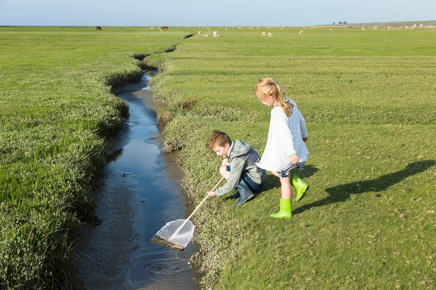 Het Groninger Landschap Kwelderexcursie voor de jeugd