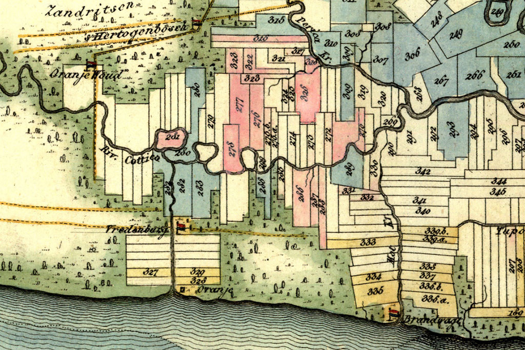 Uitsnede kaart Plantages in Suriname 1835. Dr. Veelwaard en zoon Groninger Archieven